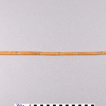 621390