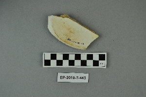 EP-2010-7-443