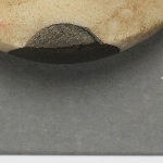 626446
