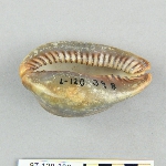 627520
