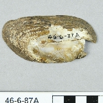 629958