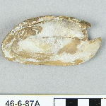 629959