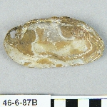 629961