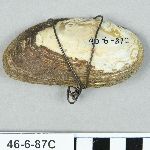 629962