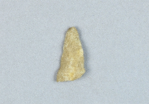 46-6-239
