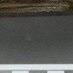 631100