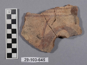 29-103-645