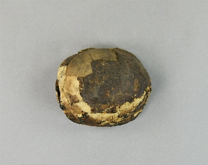 70-9-261