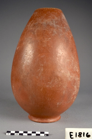 E1816