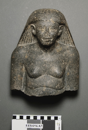 E13646
