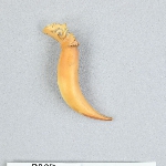636333