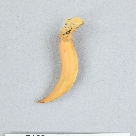 636334