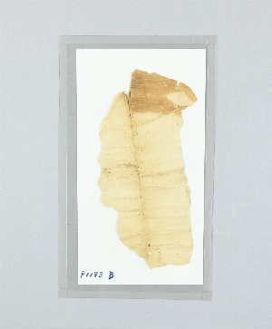 P1193B