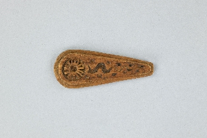 P221