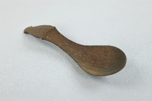 P291