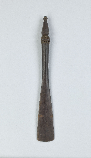 P311A