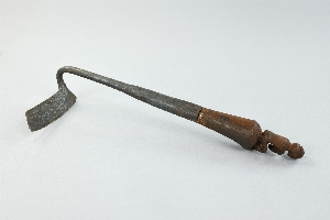 P443C