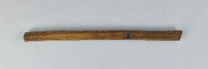 P492C