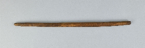 P493A