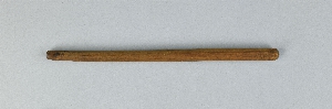 P493C