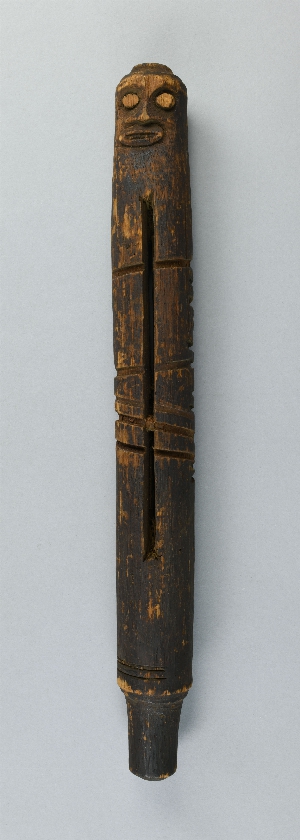 P494A
