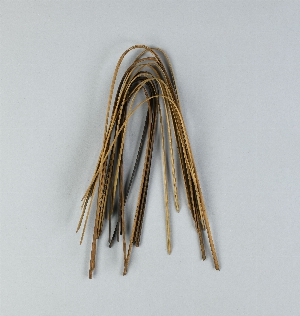 P496