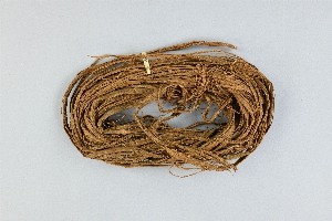 P541
