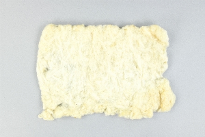 P551