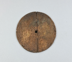 P557E