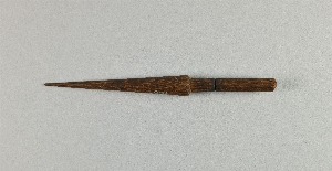 P558A