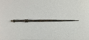 P558C