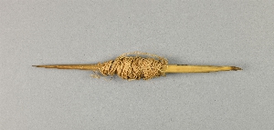 P593