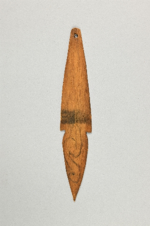 P830C