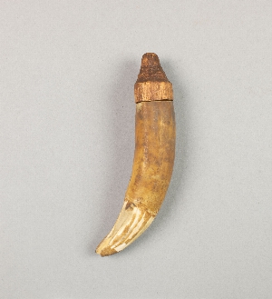 P855