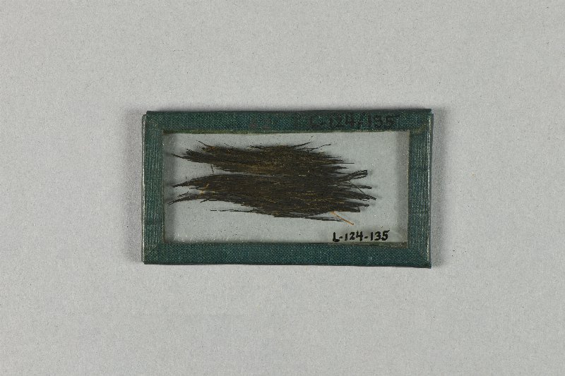 640451