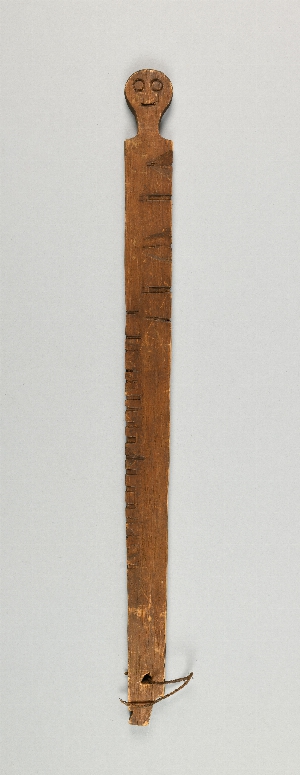 P1011A