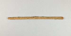 P1038A