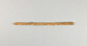 P1038B