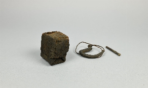 P1229