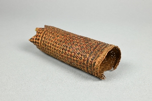 P1117