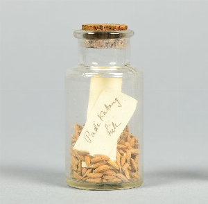 P1291