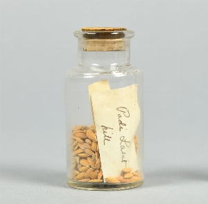 P1289
