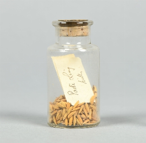 P1290