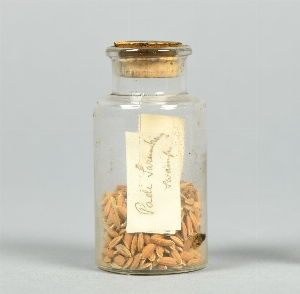 P1293