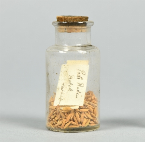 P1295
