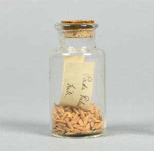 P1296