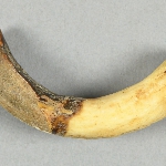 642505