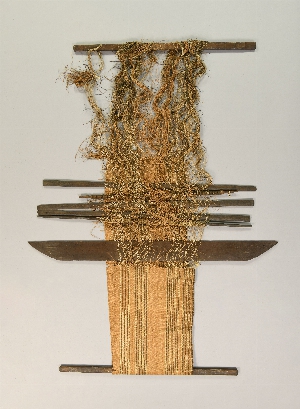 P544