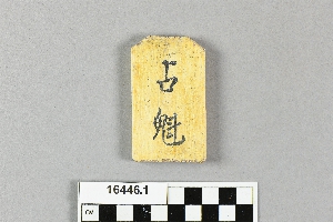 16446.1