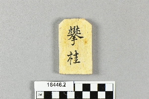 16446.2